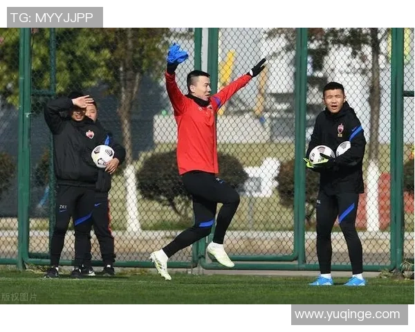 深圳羽毛球队实力揭秘：从训练到比赛的全景探访与分析